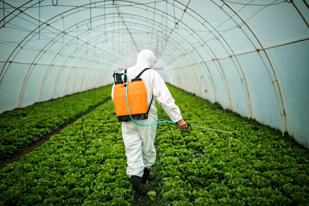 Best Pest Removal Services  in Elroy, WI