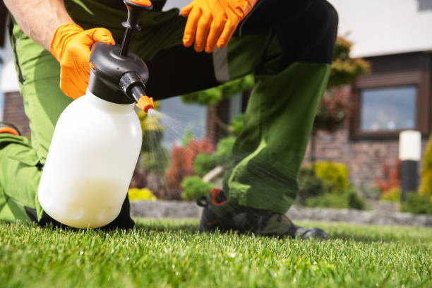 Best Local Pest Control Services  in Elroy, WI